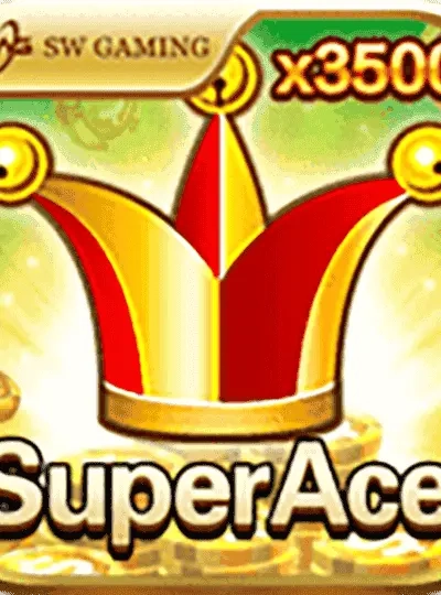 pj333 pj333